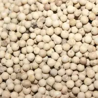 White Pepper