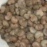 Raw Cashew Nut