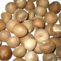 Whole Betel Nut
