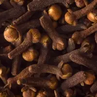 Dried Cloves