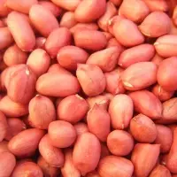 Peanuts
