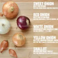 Onion