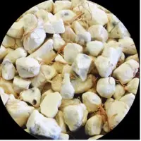 Baobab