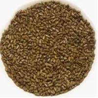Cassia Seeds