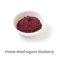 Freeze Dried Blueberry Powder