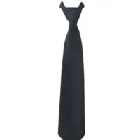 Plain Tie