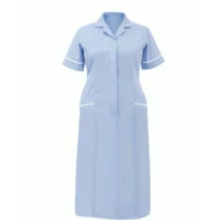 Ladies Classic Stepin Dress