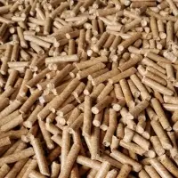 Wood Pellet