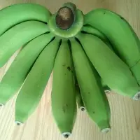 Green Cavendish Banana