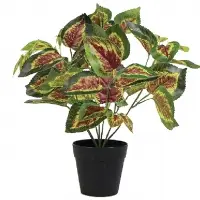 Artificial Coleus Hybridus Plant In Pot