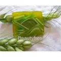 Natural plant soap
