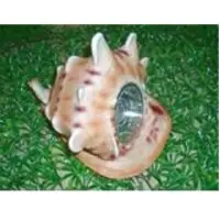 Solar craftwork lamp