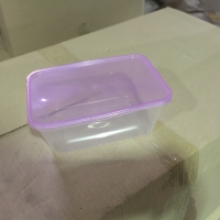 Plastic Disposable Box With Lid