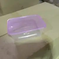 Plastic Disposable Box With Lid