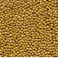 Millet