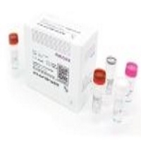 Covid Test Kit