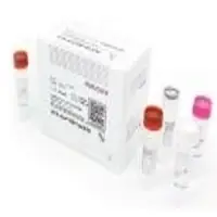 Covid Test Kit