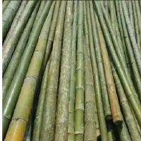 Bamboo Products