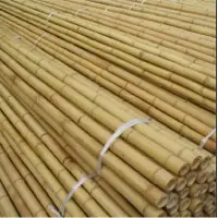 Bamboo Products