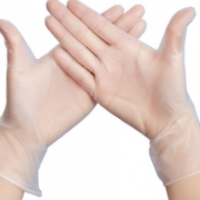 PVC Glove