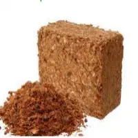 Coco Chips