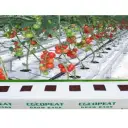 Cocopeat Growbags