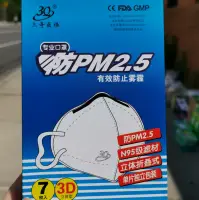 PM2.5 Face Mask