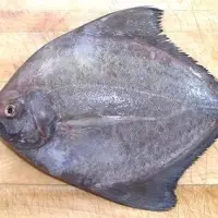BLACk Pomfret