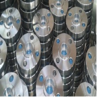 Stainless Steel Flanges