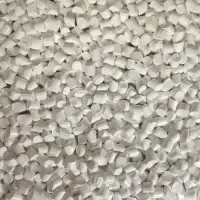 White Masterbatch