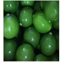 Lime Seedness