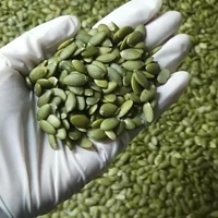 Pumpkin Kernels Shine Skin