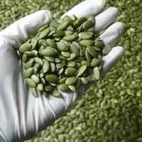 Pumpkin Kernels Shine Skin