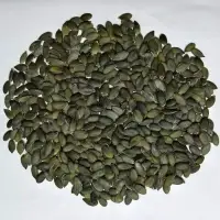 Pumpkin Seeds Kernel Gws