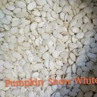 Pumpkin Seeds Snow White