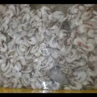 Frozen White Tiger Shrimp