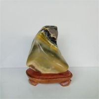 Bumblebee Jasper Stone