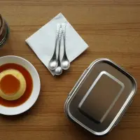 Stainless Steel Lunch Box