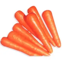 Carrot