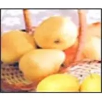 Feng shui pear