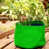 HDPE Grow Bags