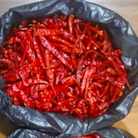 Red Chilli