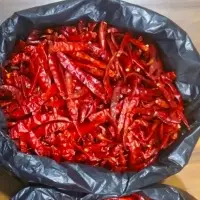 Red Chilli