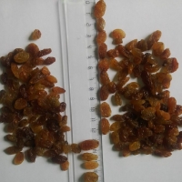 Raisins