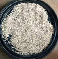 Sesame Seeds