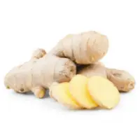 Ginger