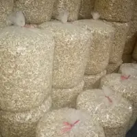 Split Cashew Nuts
