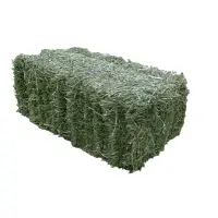 Hay Alfalfa Bale