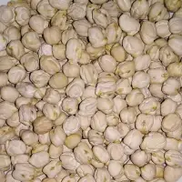Chickpeas
