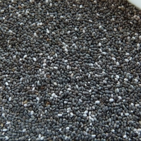 Chia Seeds